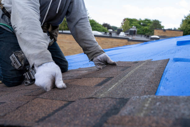 Best Metal Roofing Contractor  in Columbia Falls, MT