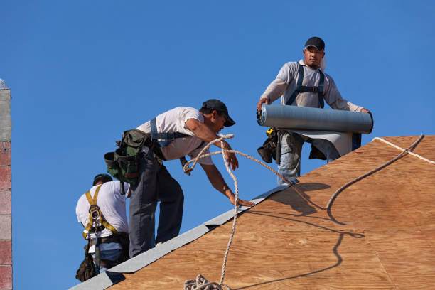 Best Roofing Contractors for Homes  in Columbia Falls, MT