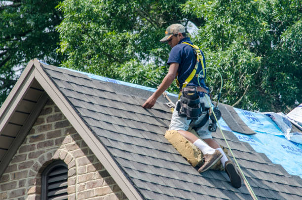 Best Local Roofing Companies  in Columbia Falls, MT